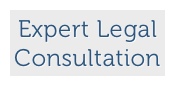 Expert Legal
Consultation