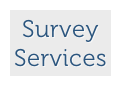 Survey Services