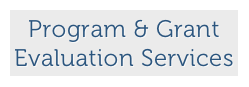 Program & Grant
Evaluation Services
